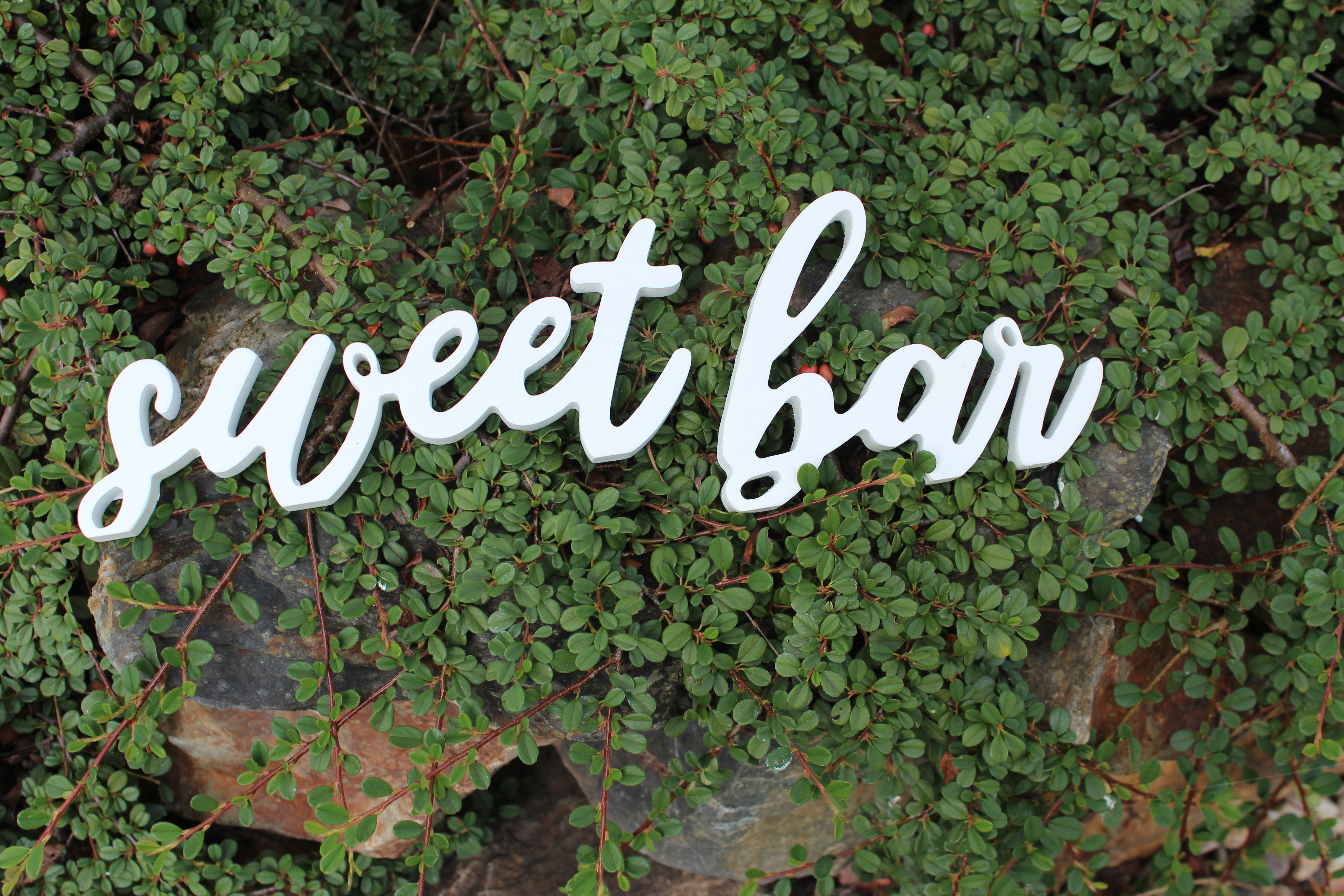 Sweet bar - půjčovna
